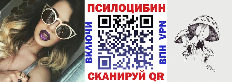 Галлюциногенные грибы мицелий  Купить где  Кстово 