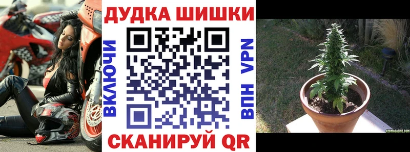 Купить где  Кстово  Бошки марихуана THC 21% 